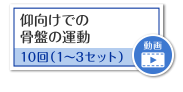 仰向けでの骨盤の運動