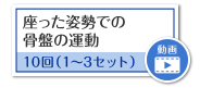 座った姿勢での骨盤の運動