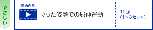 立った姿勢での屈伸運動